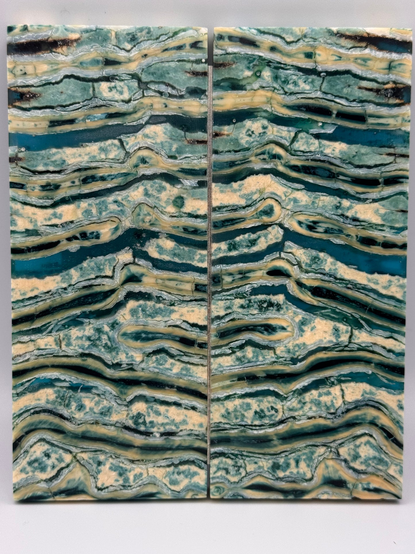 MAMMOTH TUSK MOLAR - VM-024