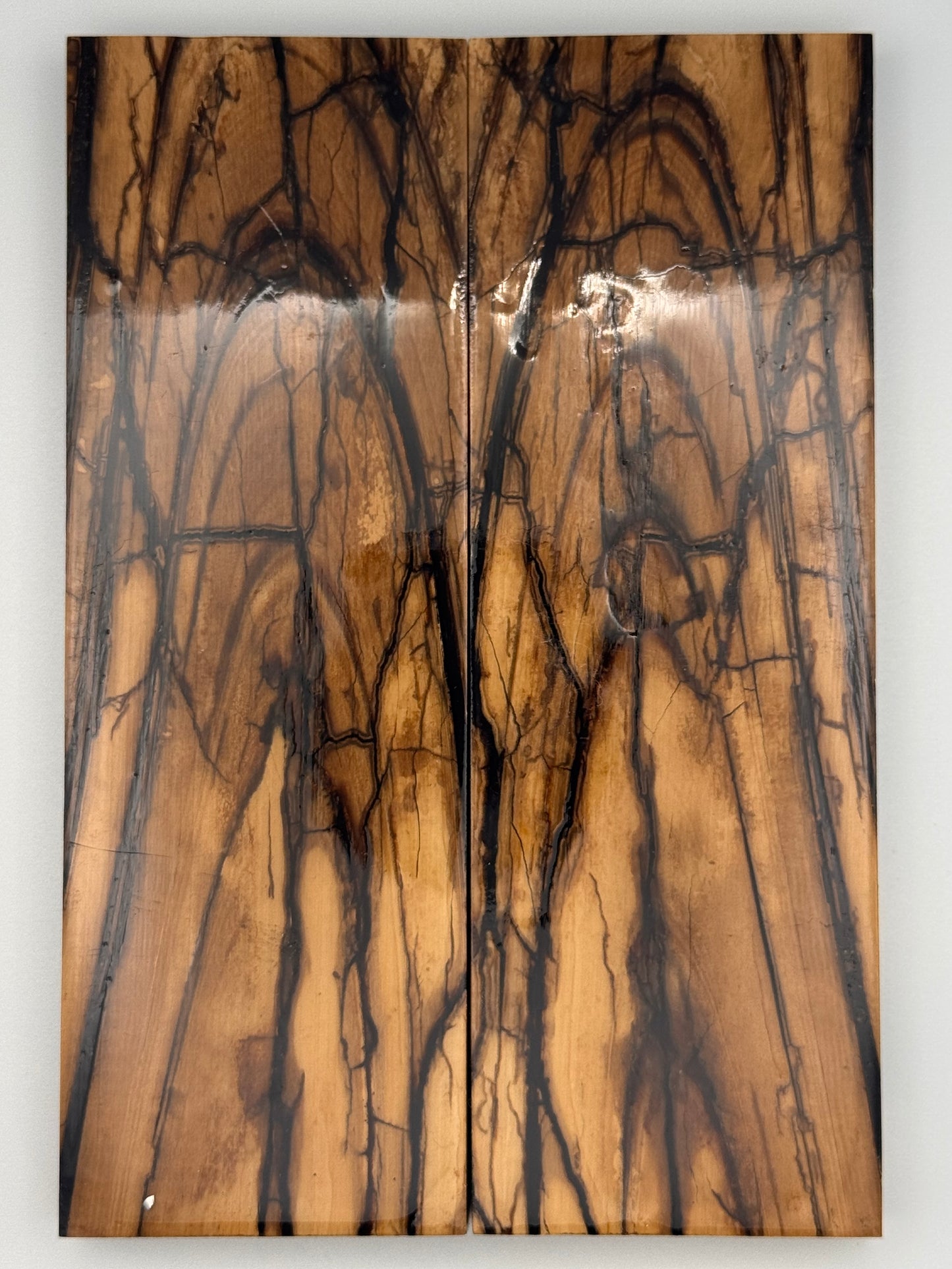 MAMMOTH TUSK CROSSCUT - VM-017