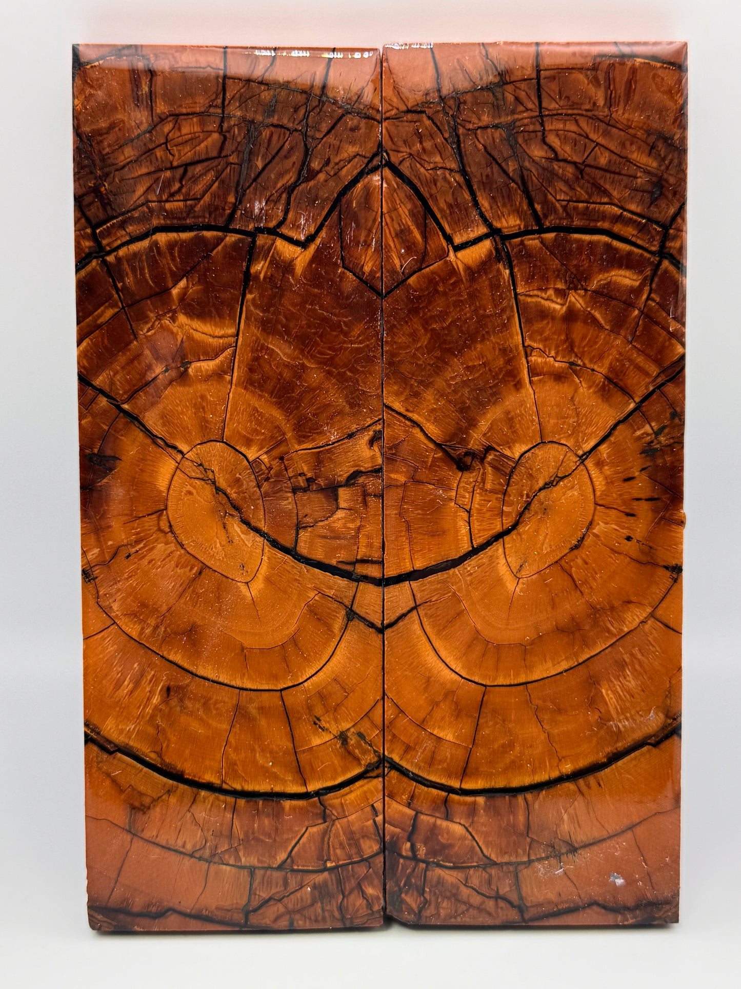 MAMMOTH TUSK CROSSCUT- VM-001