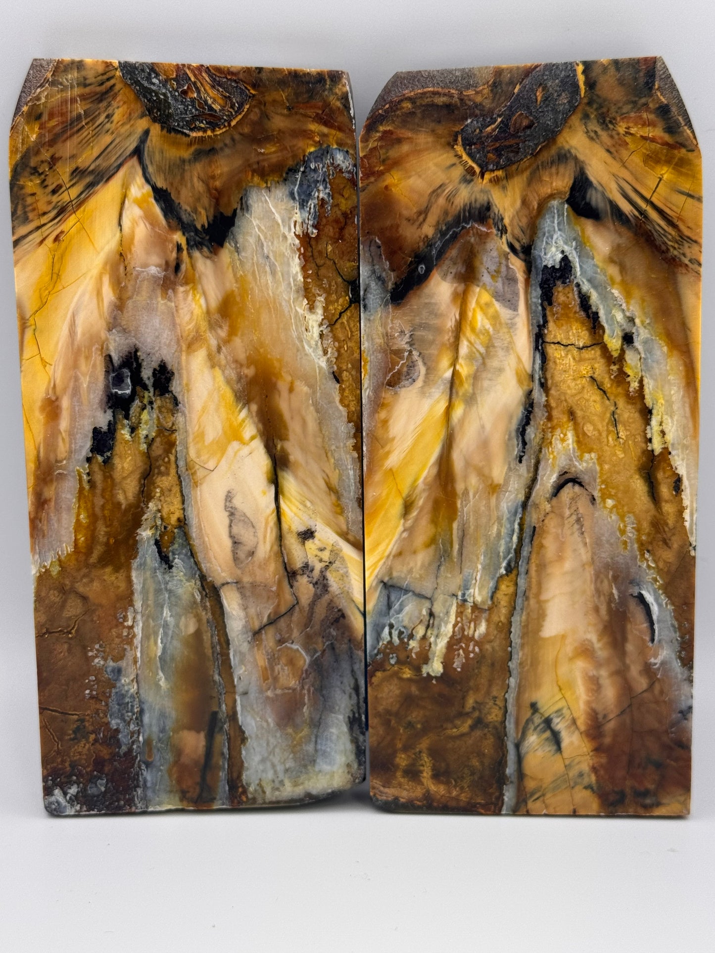 MAMMOTH MOLAR (PERMAFROST) - VM-037
