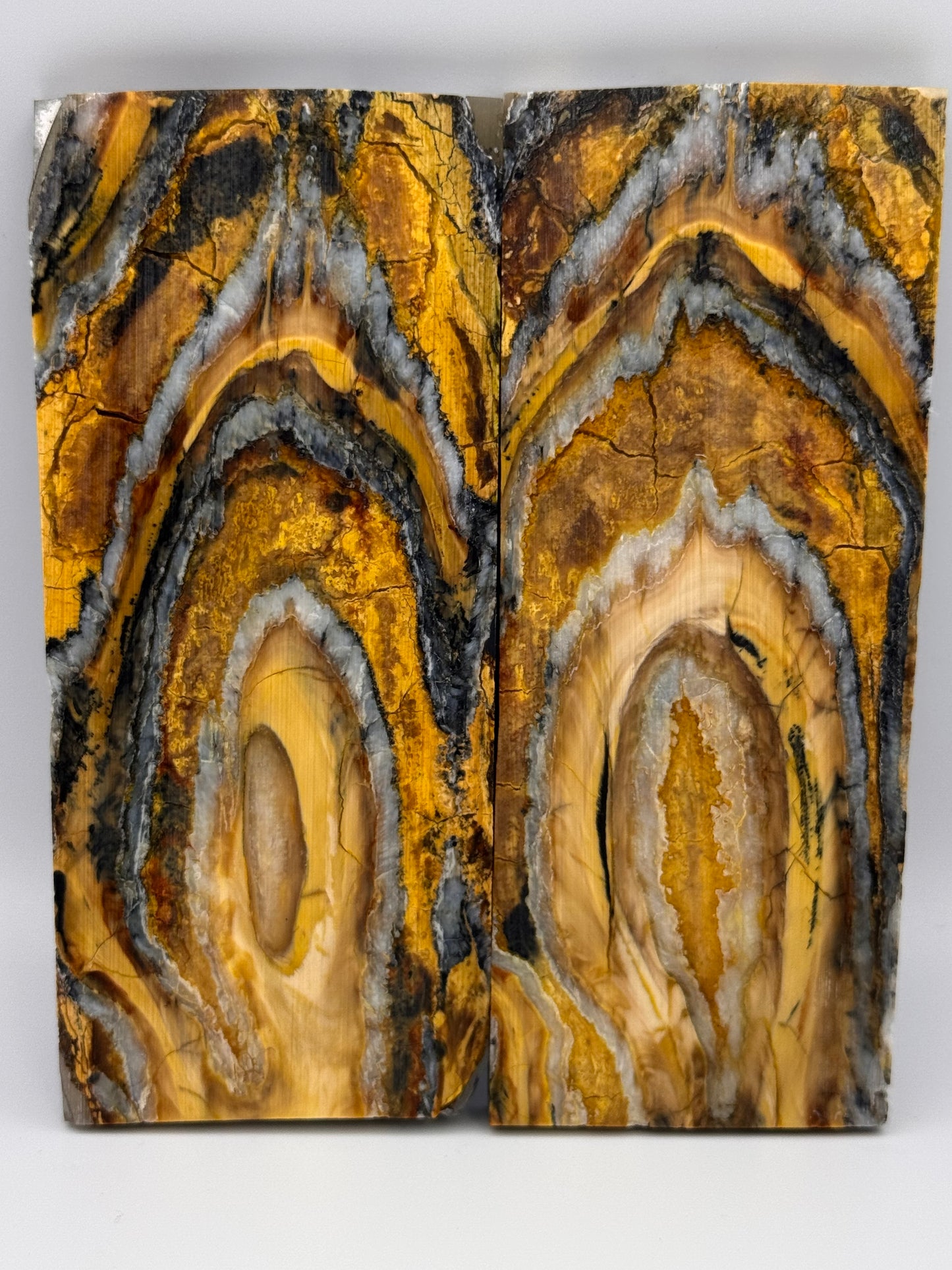 MAMMOTH MOLAR (PERMAFROST) - VM-015