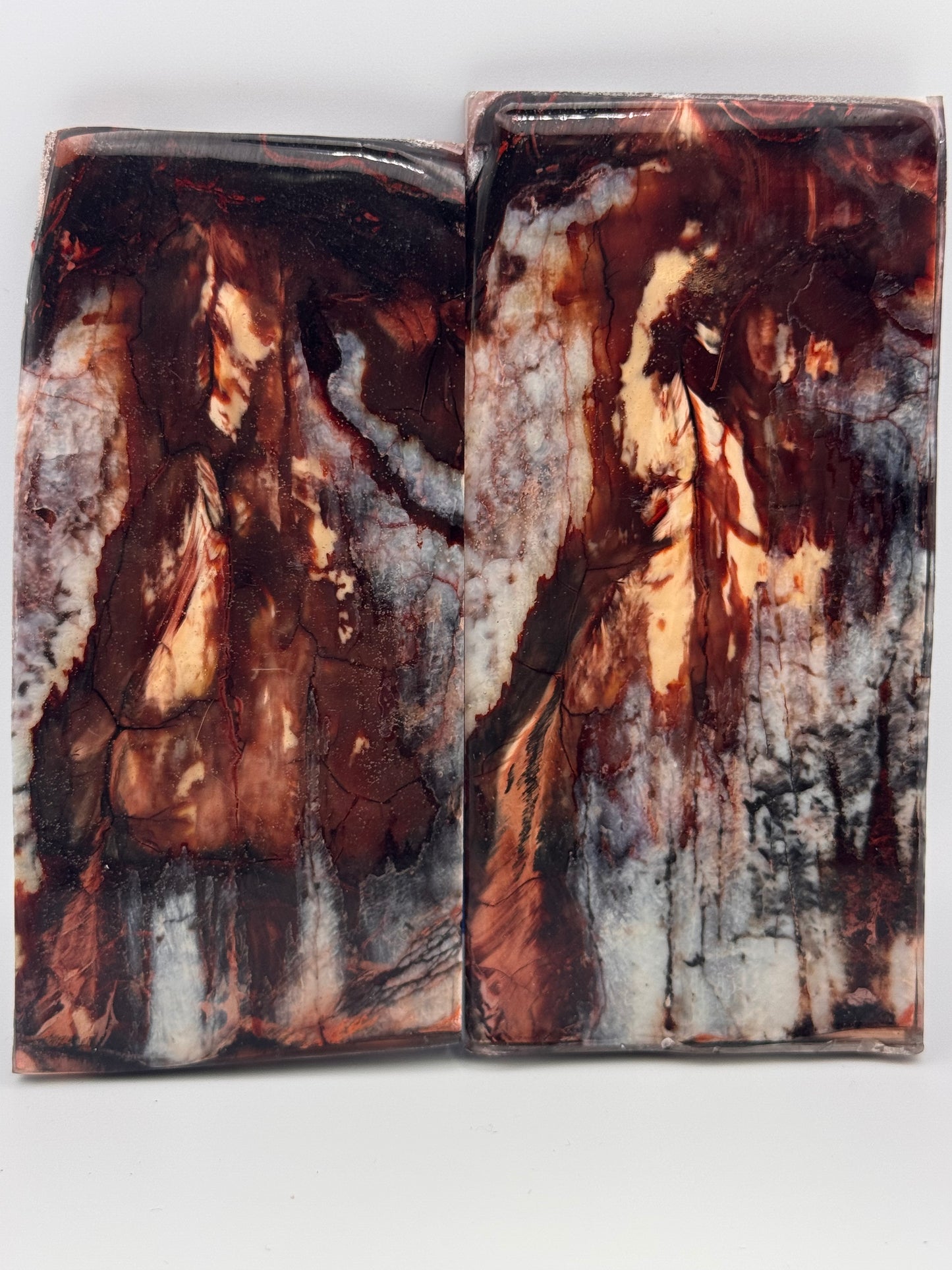 MAMMOTH MOLAR (PERMAFROST) - VM-038