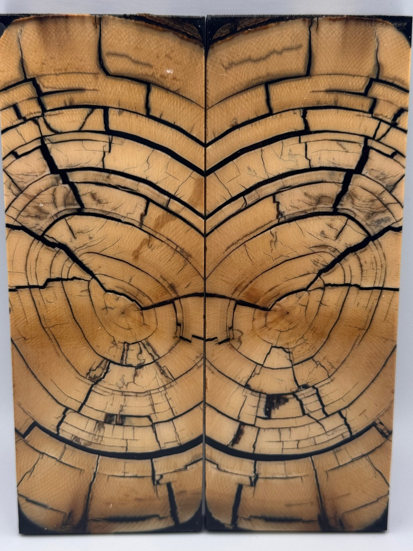 MAMMOTH TUSK CROSSCUT - VM-057