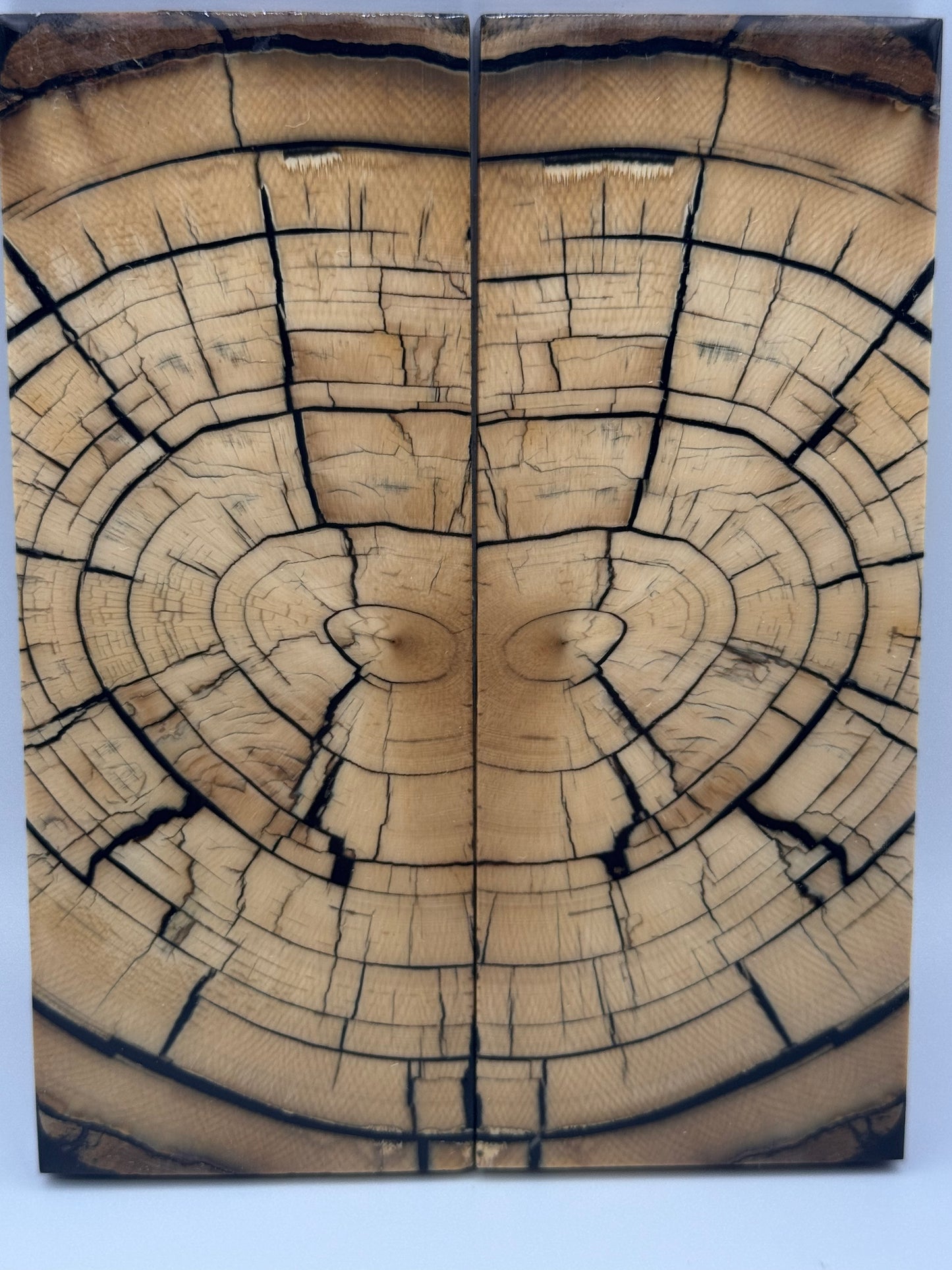 MAMMOTH TUSK CROSSCUT - VM-056