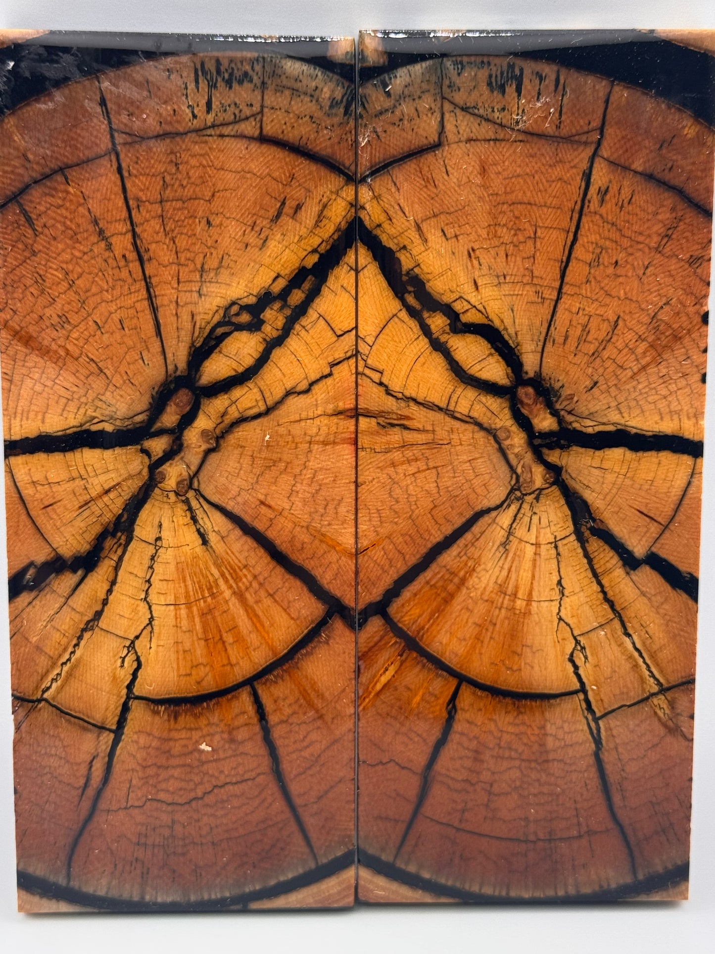 MAMMOTH TUSK CROSSCUT - VM-055