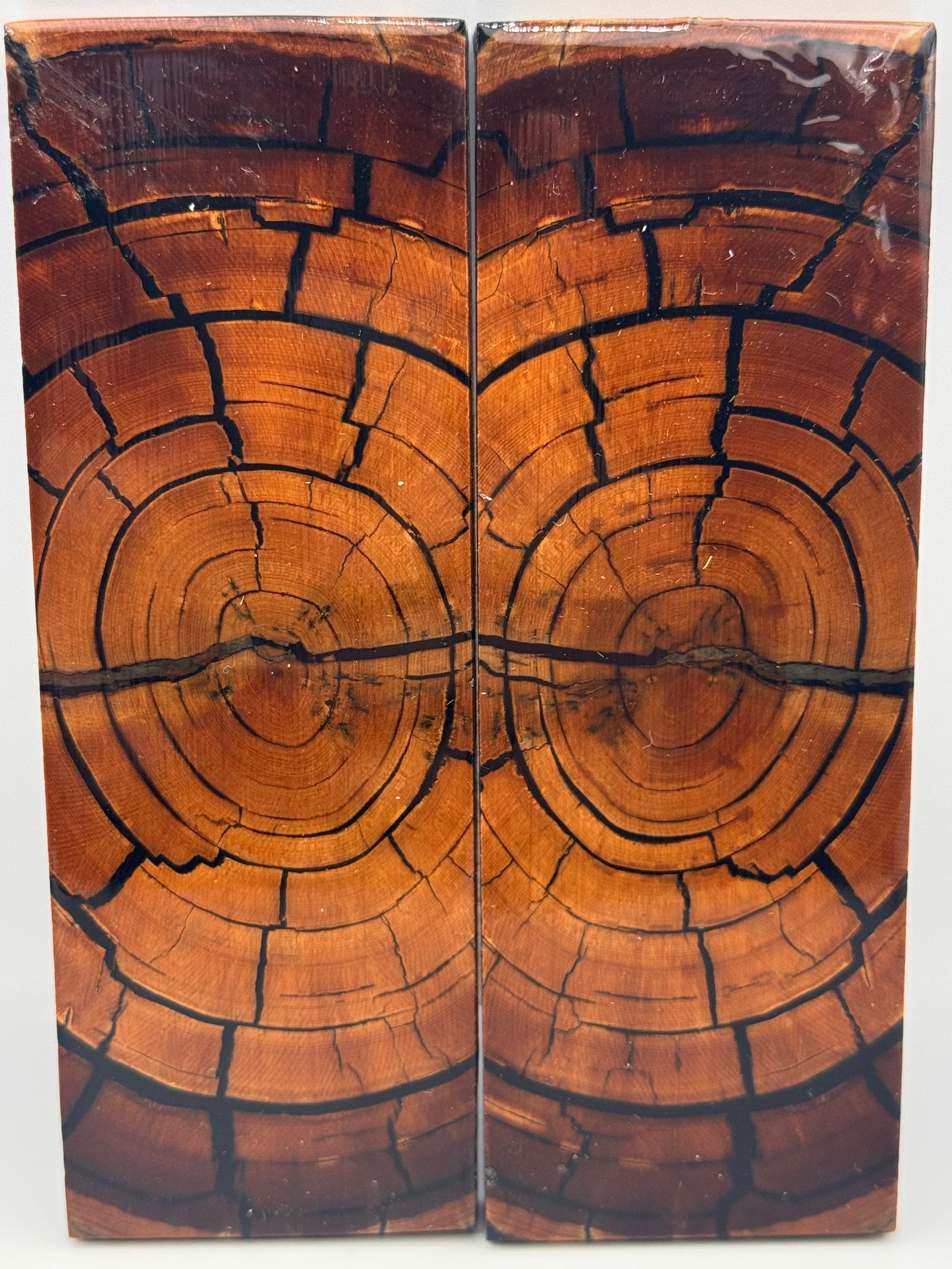 MAMMOTH TUSK CROSSCUT - VM-053