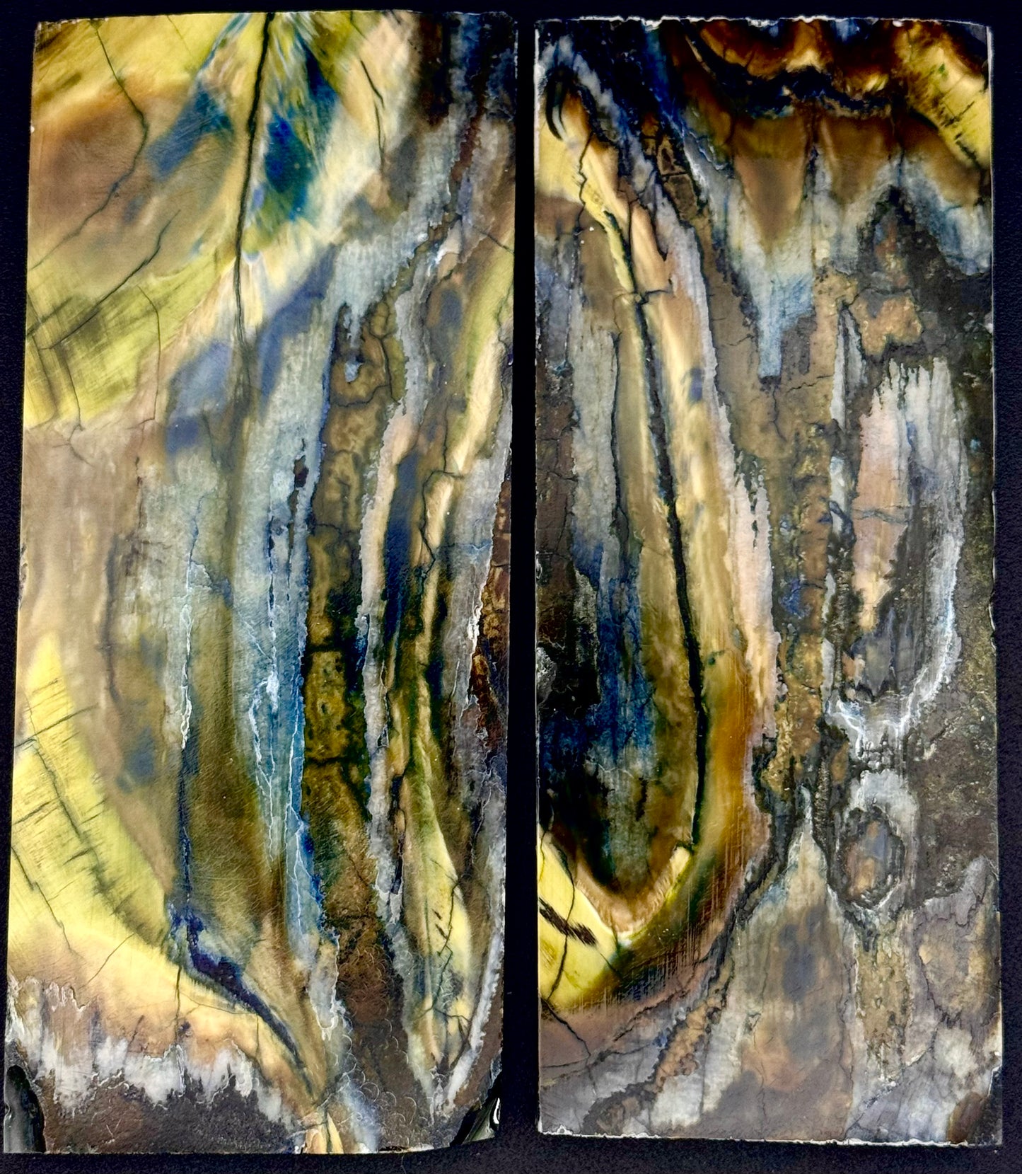 1911 - DESIGNER MAMMOTH PERMAFROST SERIES - 0020