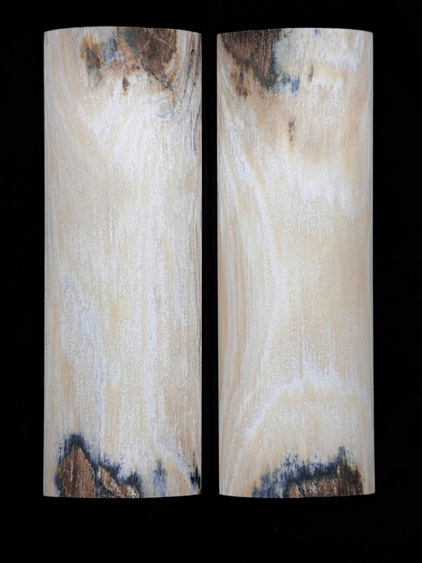 1911 - MAMMOTH IVORY BARK - 9549