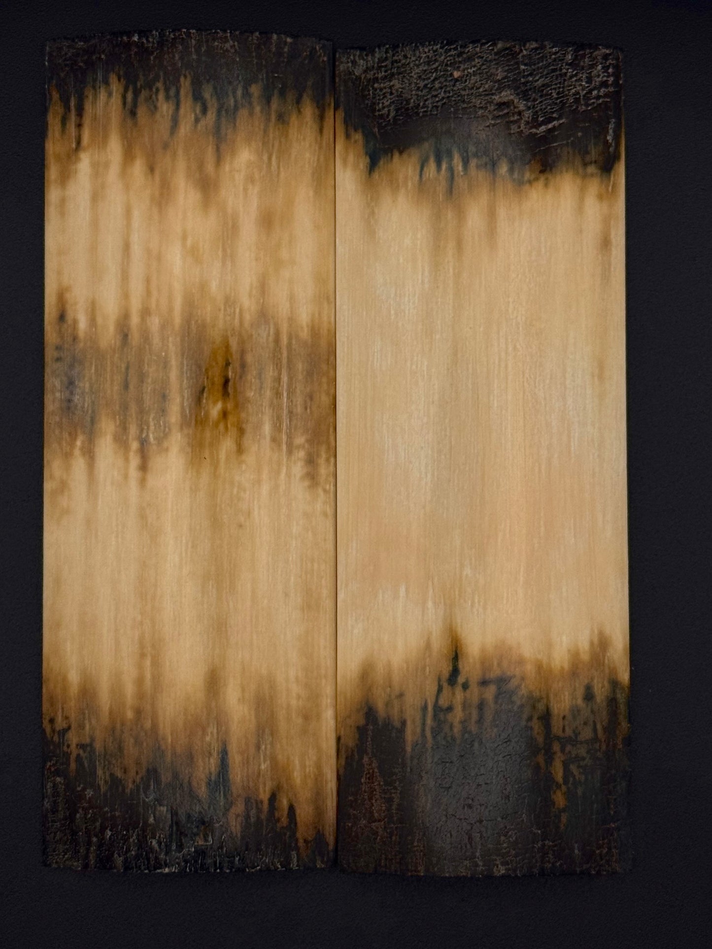 1911 - MAMMOTH IVORY BARK- 9828
