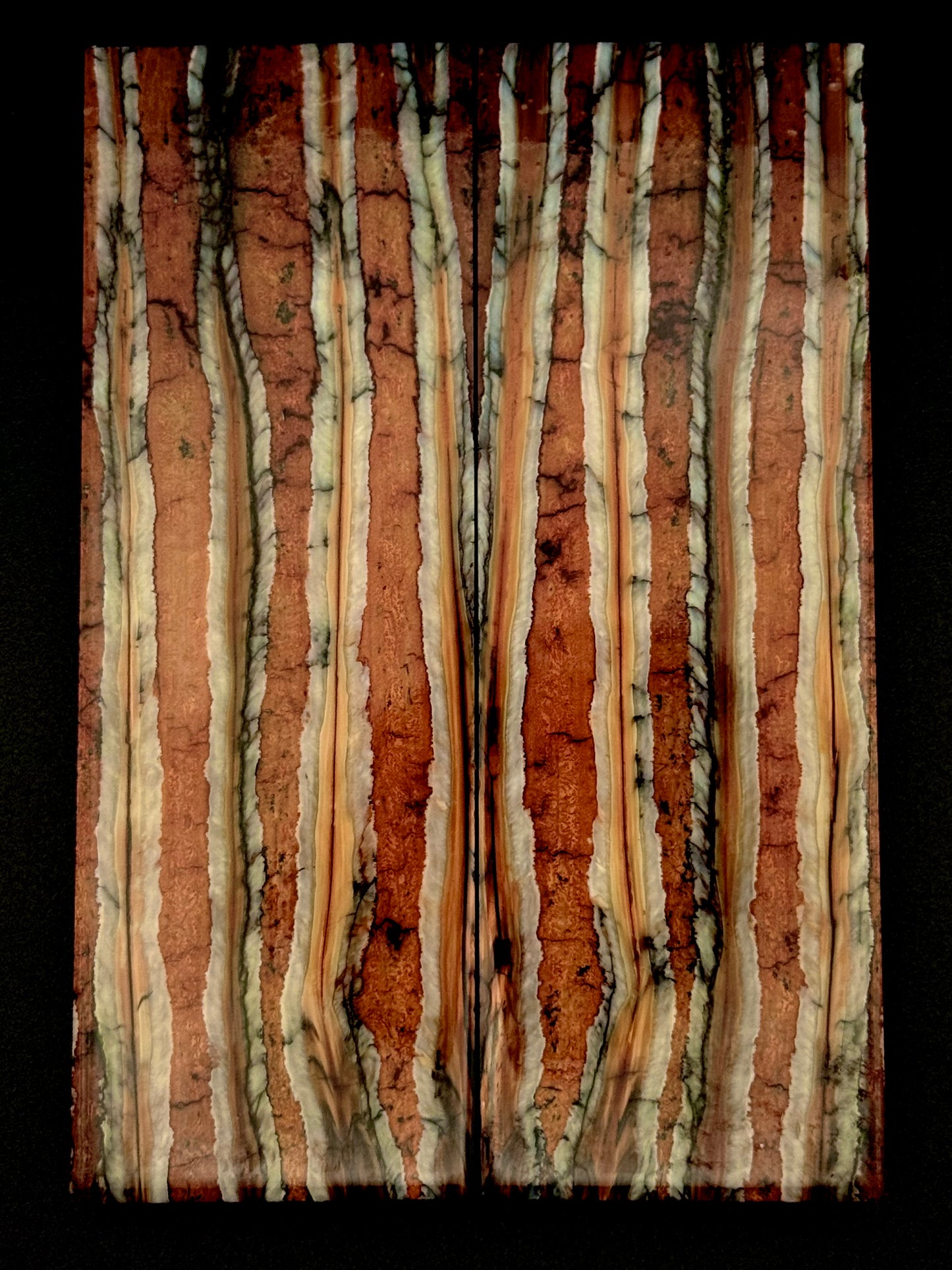 1911 - MAMMOTH MOLAR - 9836