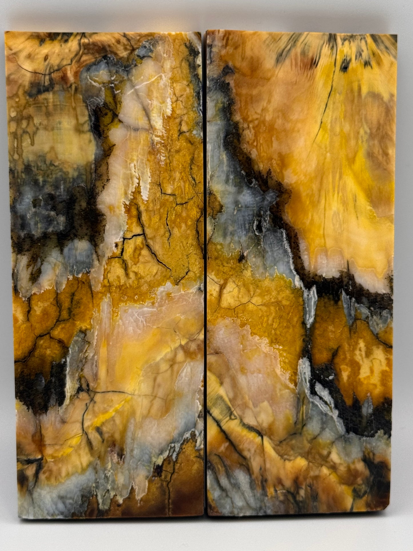 MAMMOTH MOLAR (PERMAFROST) - VM-039
