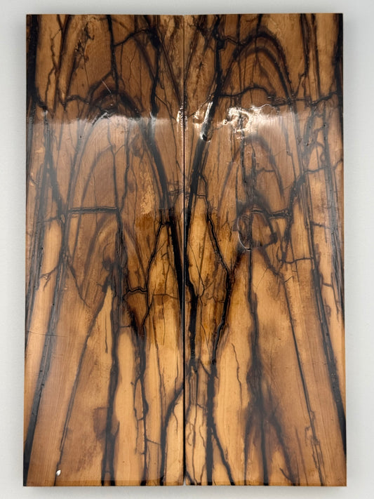 MAMMOTH TUSK CROSSCUT - VM-017