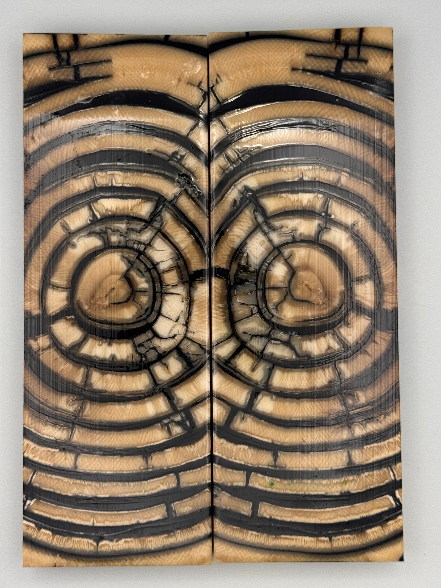 MAMMOTH TUSK CROSSCUT - VM-023