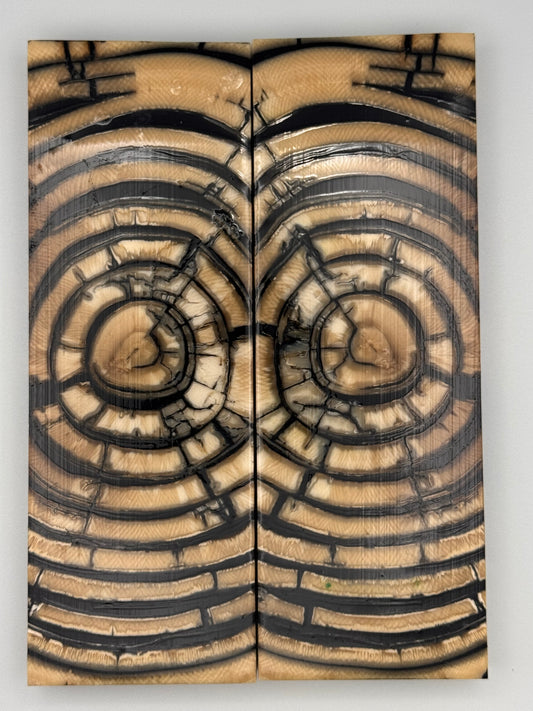 MAMMOTH TUSK CROSSCUT - VM-023