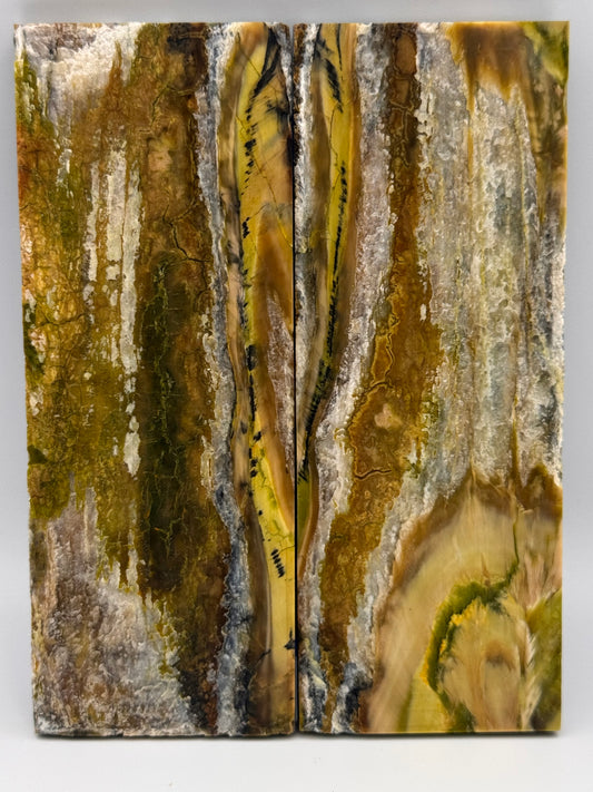 MAMMOTH MOLAR (PERMAFROST) - VM-048