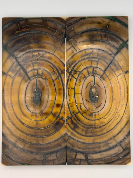 MAMMOTH TUSK CROSSCUT - VM-018
