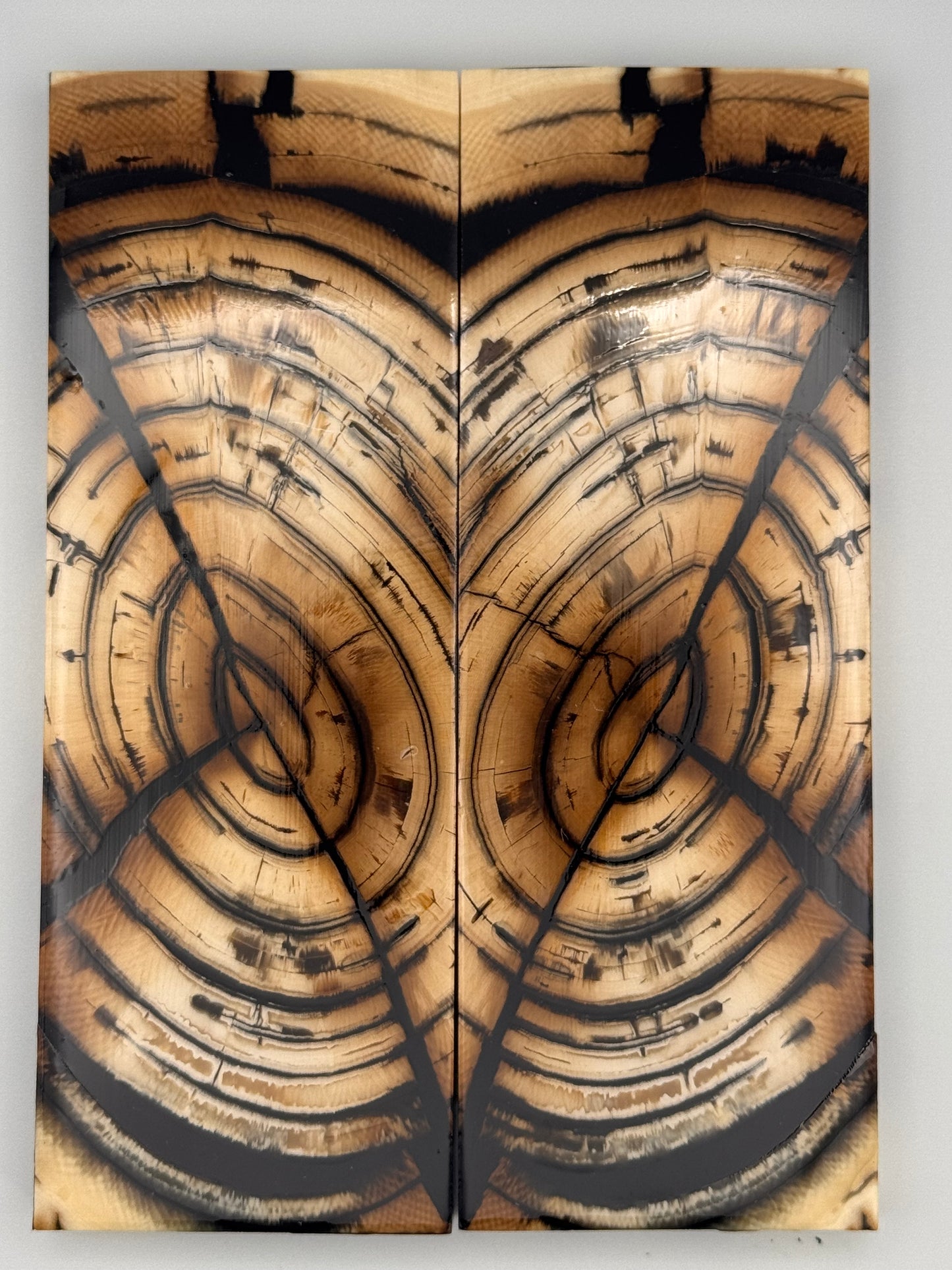 MAMMOTH TUSK CROSSCUT - VM-019
