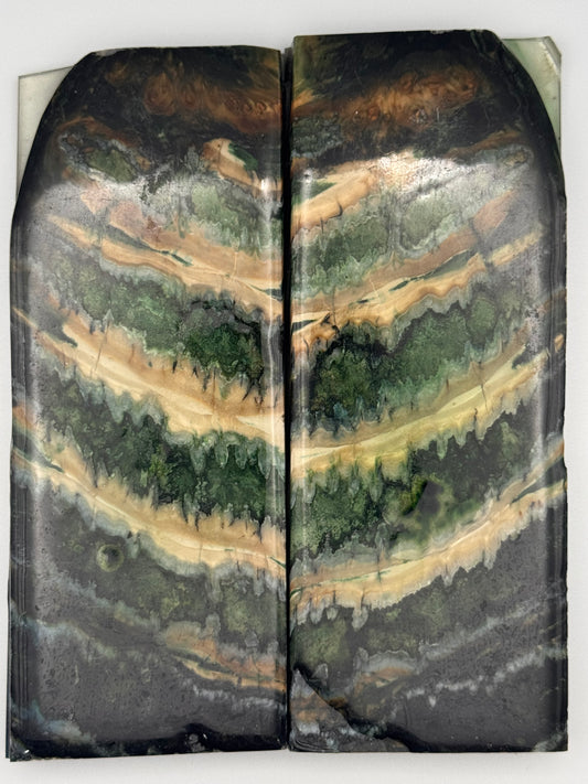 MAMMOTH MOLAR- VM-003