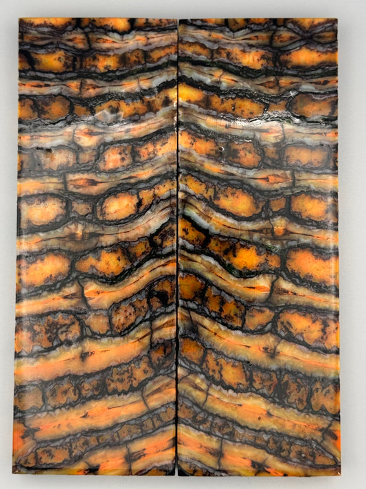MAMMOTH MOLAR - VM-013
