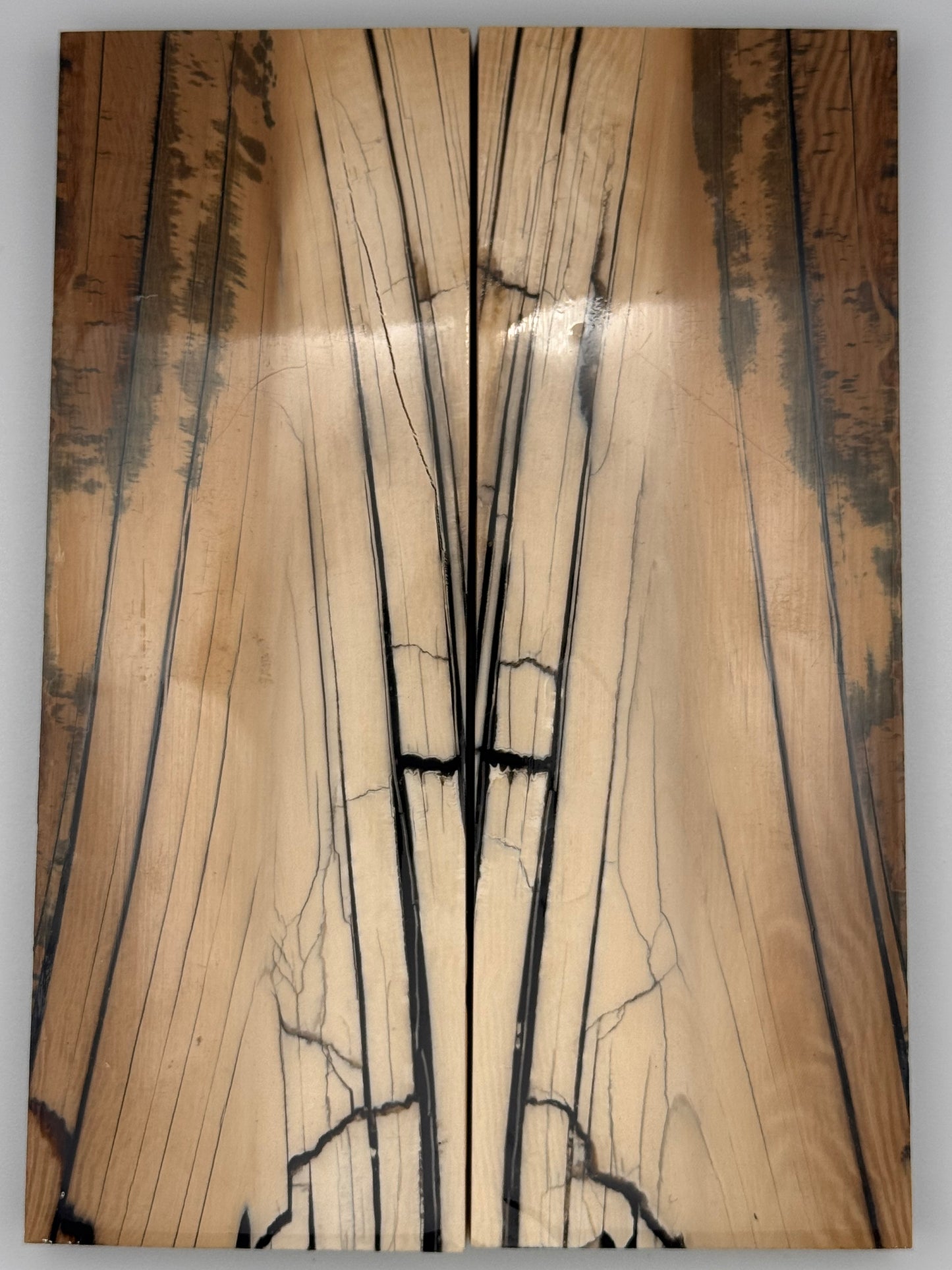 MAMMOTH TUSK CROSSCUT - VM-028
