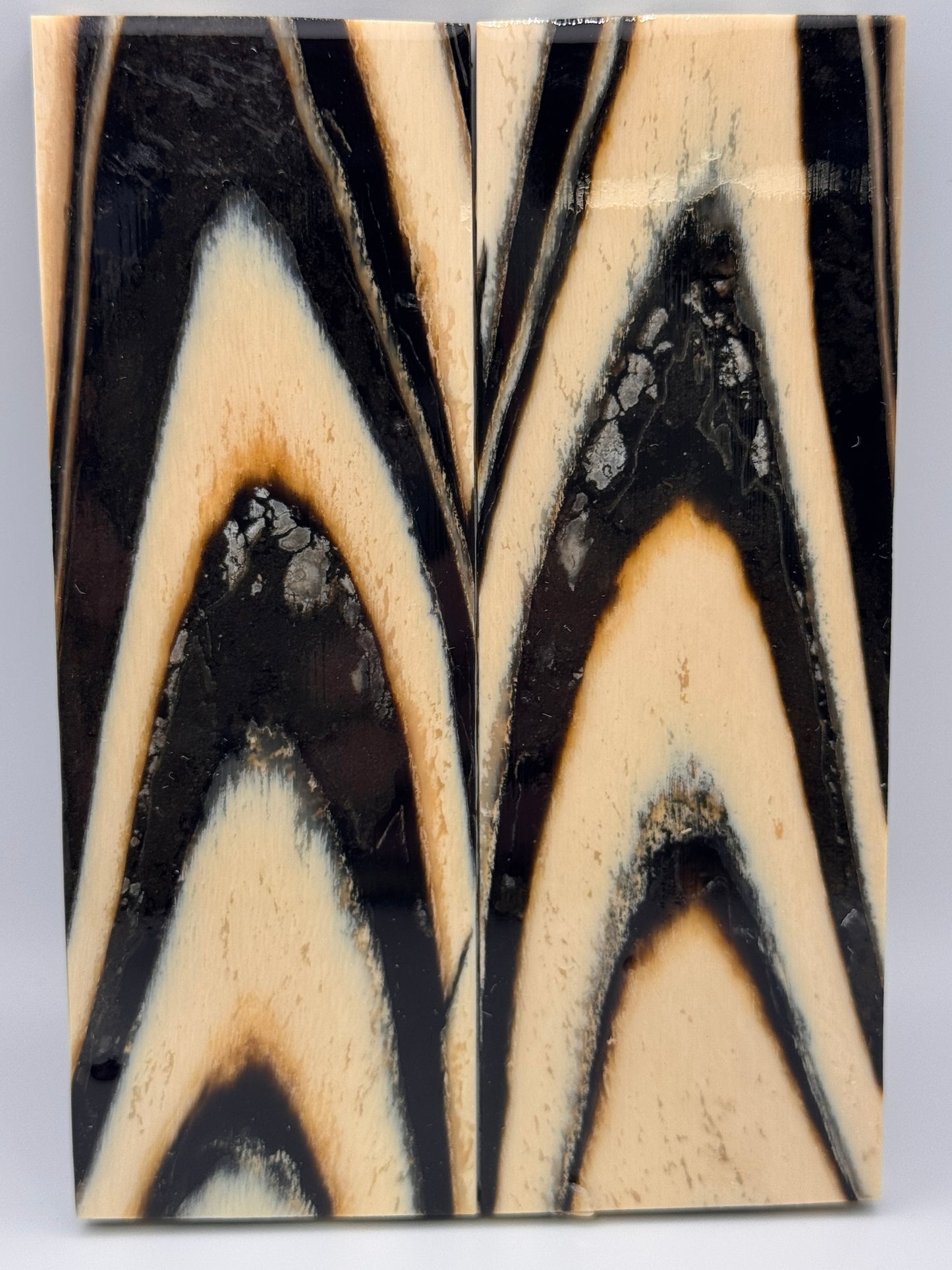 MAMMOTH TUSK CROSSCUT - VM-058