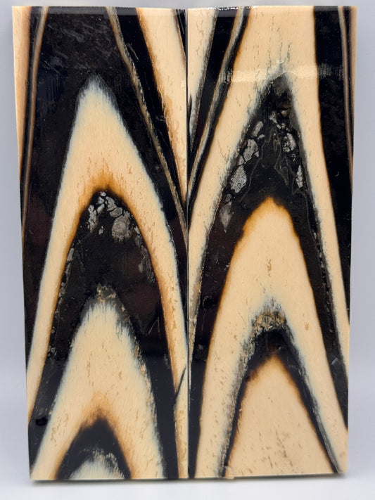 MAMMOTH TUSK CROSSCUT - VM-058