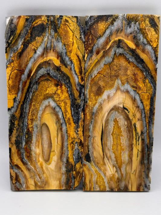 MAMMOTH MOLAR (PERMAFROST) - VM-015
