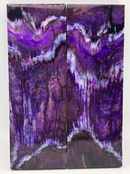 MAMMOTH MOLAR - VM-041