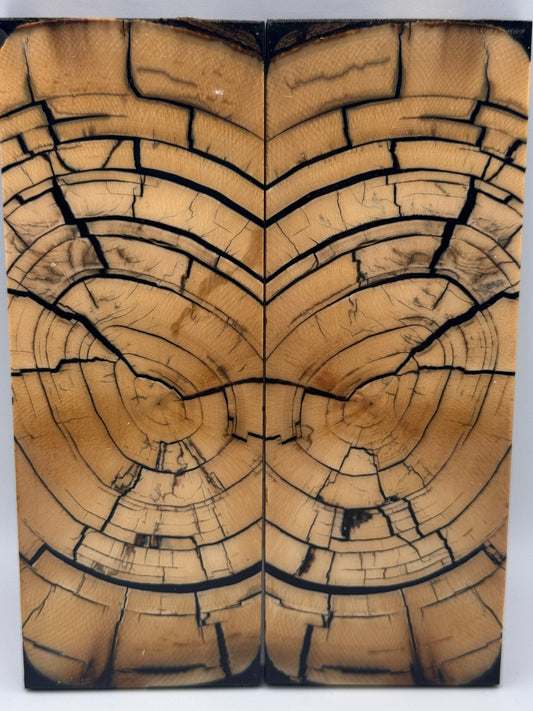 MAMMOTH TUSK CROSSCUT - VM-057