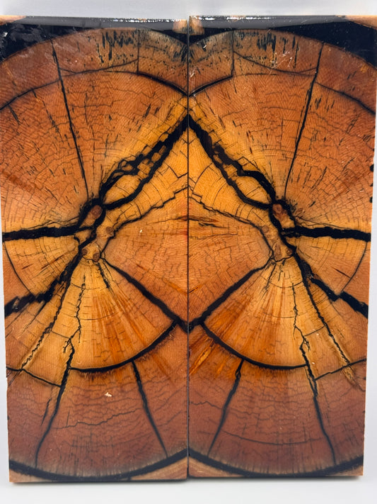 MAMMOTH TUSK CROSSCUT - VM-055