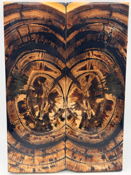 MAMMOTH TUSK CROSSCUT - VM-054