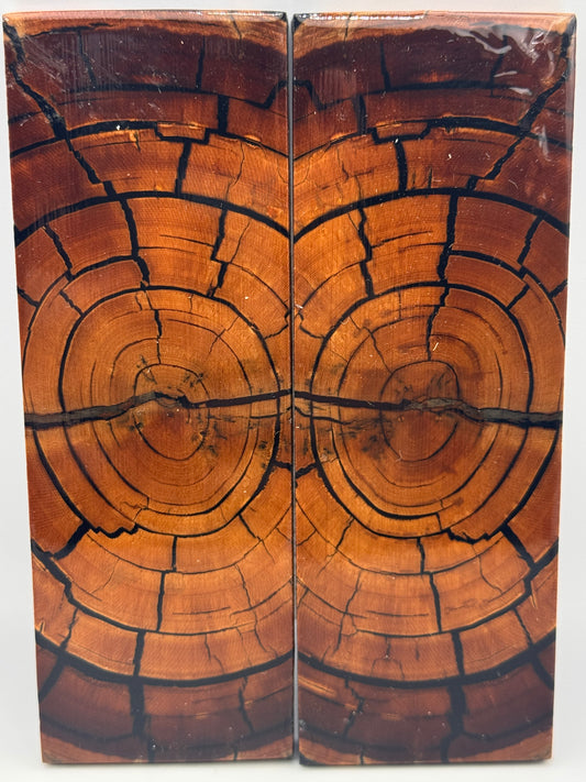 MAMMOTH TUSK CROSSCUT - VM-053