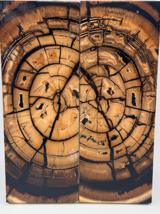 MAMMOTH TUSK CROSSCUT - VM-052