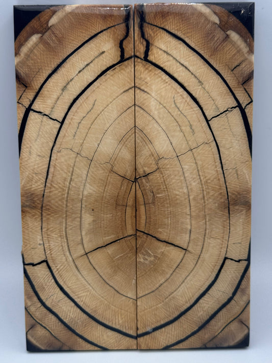 MAMMOTH TUSK CROSSCUT - VM-050