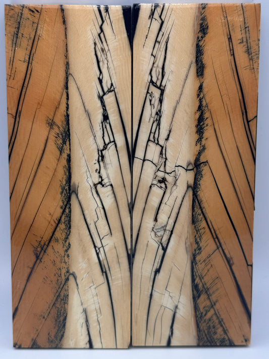 MAMMOTH TUSK CROSSCUT - VM-049