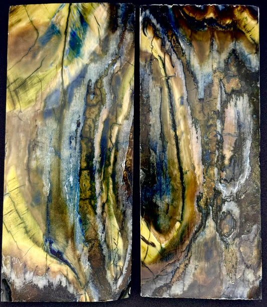 1911 - DESIGNER MAMMOTH PERMAFROST SERIES - 0020