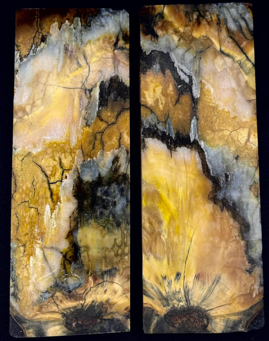 1911 - DESIGNER MAMMOTH PERMAFROST SERIES- 0021