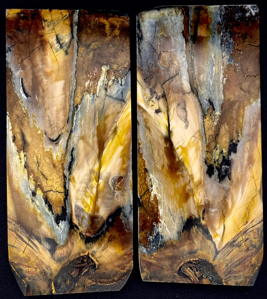 1911 - DESIGNER MAMMOTH PERMAFROST SERIES- 0022