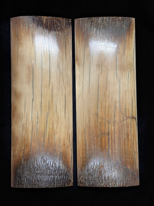 1911 - MAMMOTH IVORY BARK - 9548
