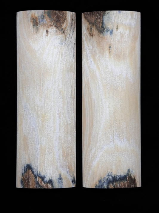 1911 - MAMMOTH IVORY BARK - 9549