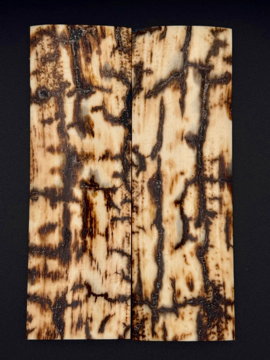1911 - MAMMOTH IVORY BARK- 9826