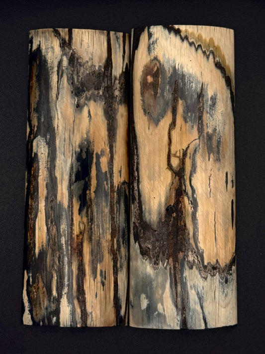 1911 - MAMMOTH IVORY BARK- 9827
