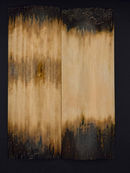 1911 - MAMMOTH IVORY BARK- 9828