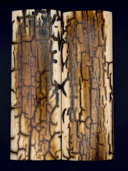 1911 - MAMMOTH IVORY BARK - 9832