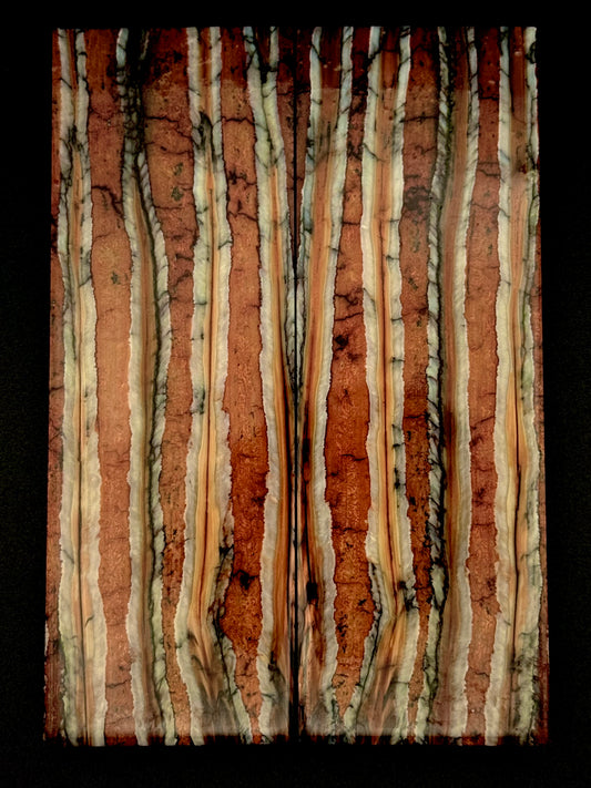 1911 - MAMMOTH MOLAR - 9836