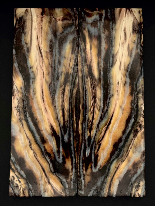 1911 - MAMMOTH MOLAR -9837