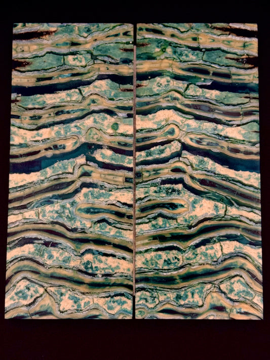 1911 - MAMMOTH MOLAR - 9843