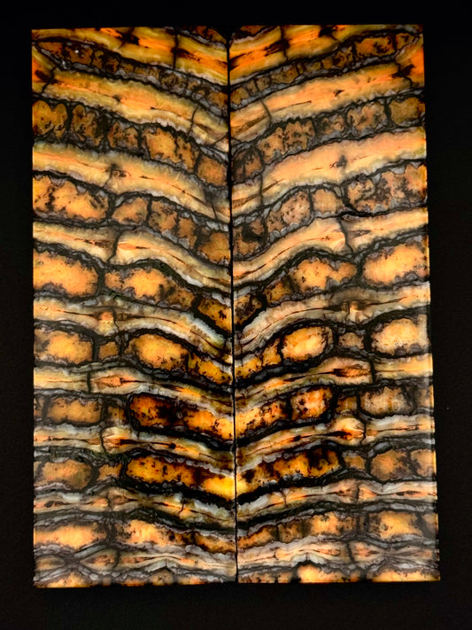 1911 - MAMMOTH MOLAR - 9844