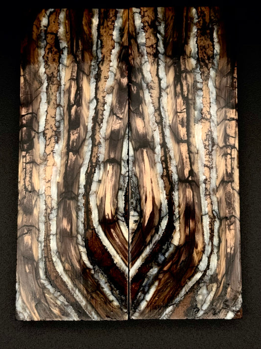 1911 - MAMMOTH MOLAR - 9845