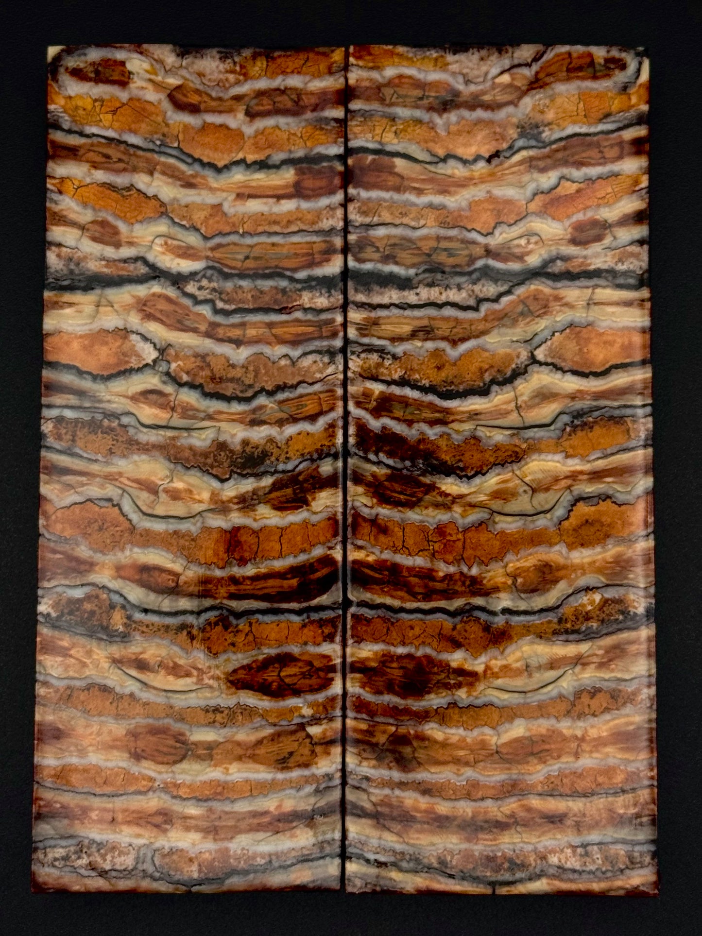 1911 - MAMMOTH MOLAR - 9846